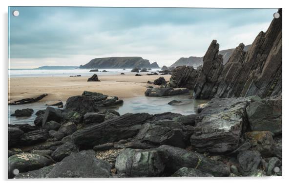 Rocky beach Acrylic by Colin Duffy