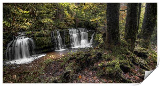 Autumn Waterfall  Print by Colin Duffy