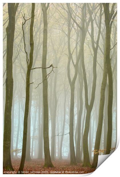 misty woodland Print by Simon Johnson