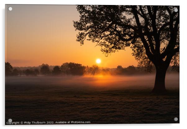 Foggy Sunrise Acrylic by Philip Thulbourn