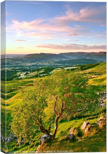 Solitary Tree on the Moors at Sunset. Canvas Print by Philip Veale