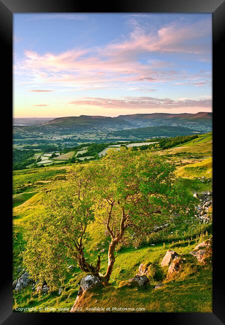 Solitary Tree on the Moors at Sunset. Framed Print by Philip Veale