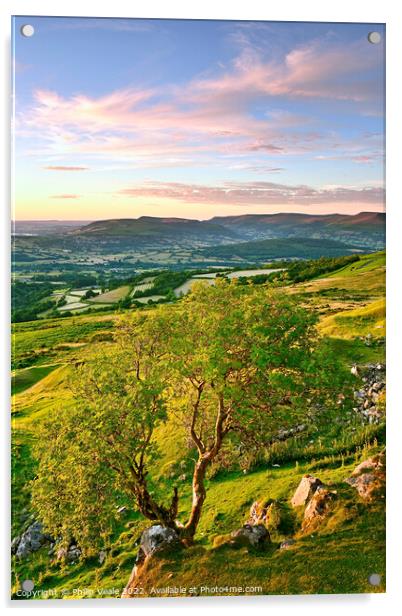 Solitary Tree on the Moors at Sunset. Acrylic by Philip Veale