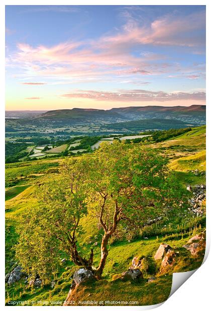 Solitary Tree on the Moors at Sunset. Print by Philip Veale