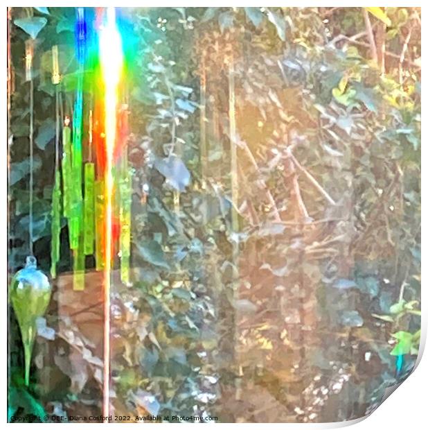 Prism when sunlight meets glass Print by DEE- Diana Cosford