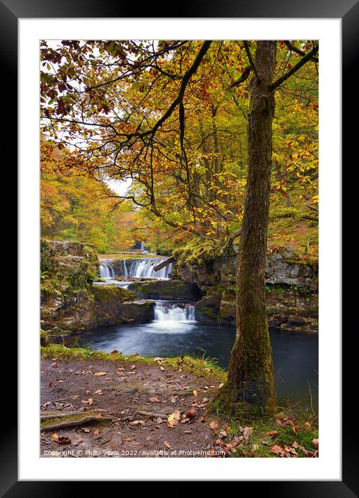 Nedd Fechan Waterfall Autumn Glory. Framed Mounted Print by Philip Veale