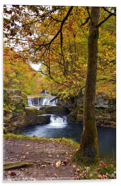 Nedd Fechan Waterfall Autumn Glory. Acrylic by Philip Veale