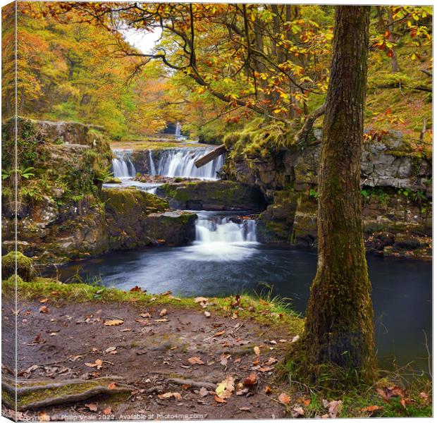 Horse Shoe Falls on the Nedd Fechan (River Neath). Canvas Print by Philip Veale