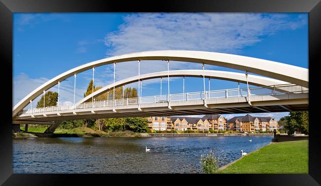 Walton Bridge Framed Print by Joyce Storey