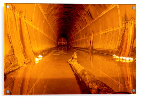 Darwin WWII Oil Storage Tunnel Acrylic by Antonio Ribeiro