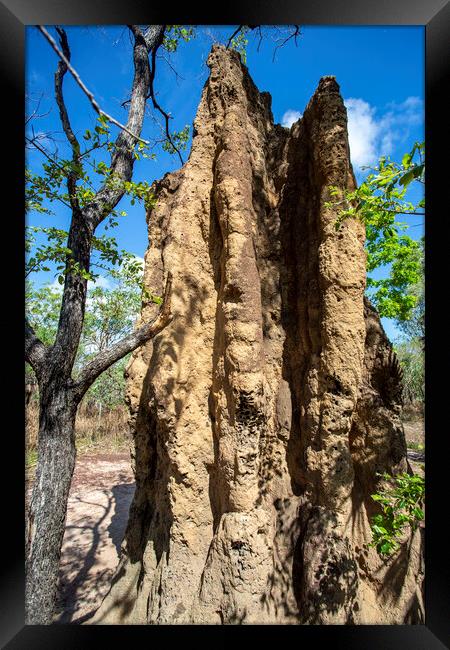 Litchfield Cathedral Termite Mounds Framed Print by Antonio Ribeiro