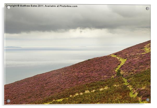 Exmoor Path Acrylic by Matthew Bates