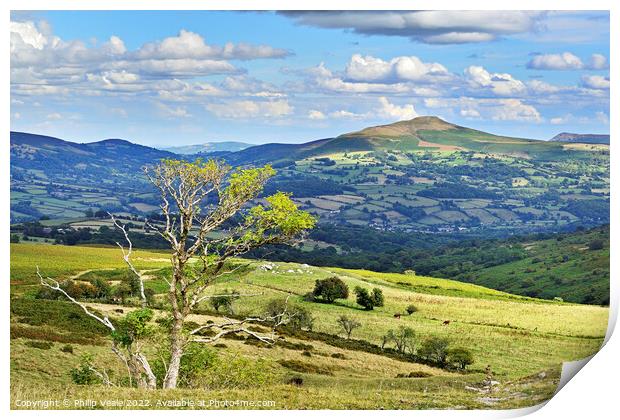 Sugar Loaf Mountain in late summer sunshine. Print by Philip Veale