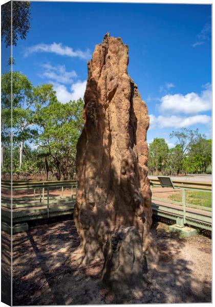 Litchfield Cathedral Termite Mounds Canvas Print by Antonio Ribeiro