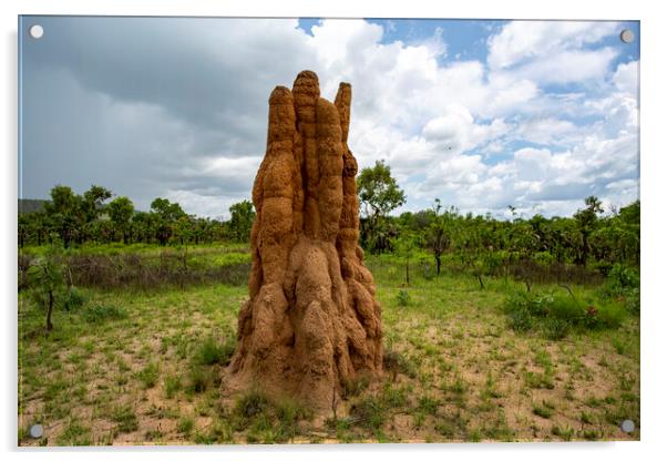 Litchfield Cathedral Termite Mounds Acrylic by Antonio Ribeiro