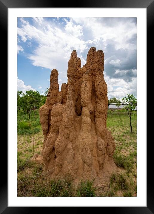 Litchfield Cathedral Termite Mounds Framed Mounted Print by Antonio Ribeiro