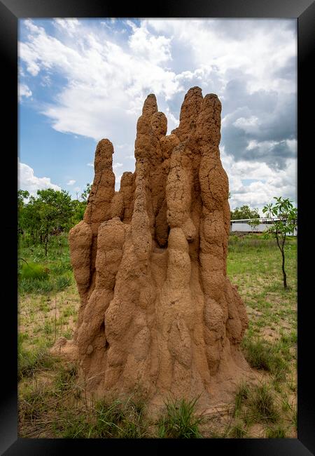 Litchfield Cathedral Termite Mounds Framed Print by Antonio Ribeiro