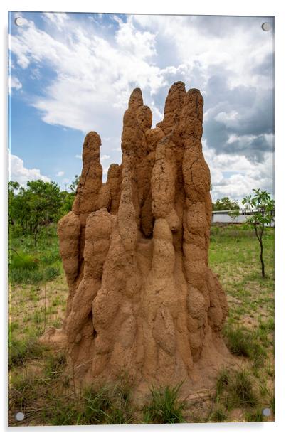 Litchfield Cathedral Termite Mounds Acrylic by Antonio Ribeiro