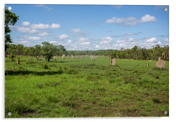 Litchfield Magnetic Termite Mounds Acrylic by Antonio Ribeiro