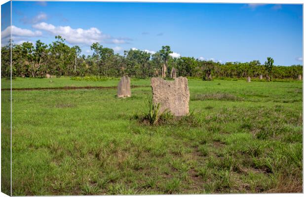 Litchfield Magnetic Termite Mounds Canvas Print by Antonio Ribeiro