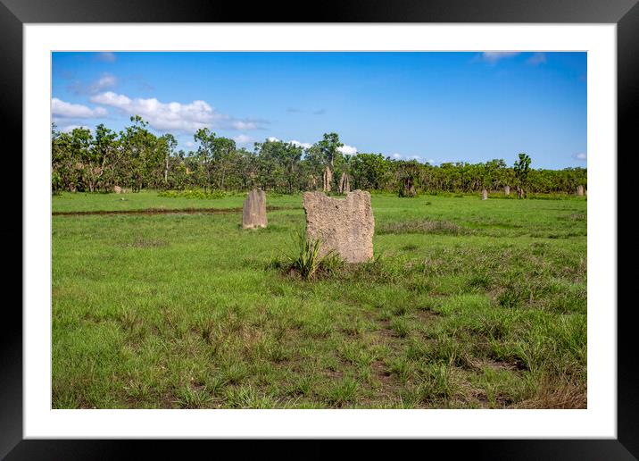Litchfield Magnetic Termite Mounds Framed Mounted Print by Antonio Ribeiro