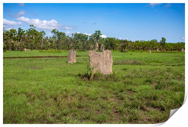 Litchfield Magnetic Termite Mounds Print by Antonio Ribeiro