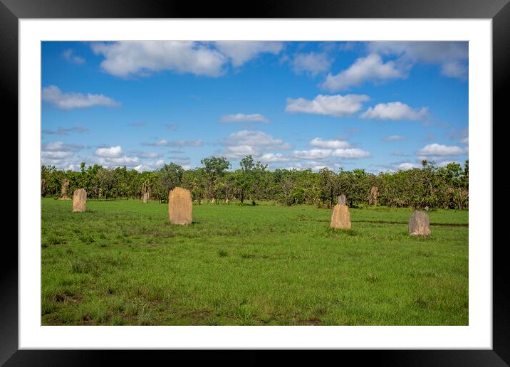 Litchfield Magnetic Termite Mounds Framed Mounted Print by Antonio Ribeiro