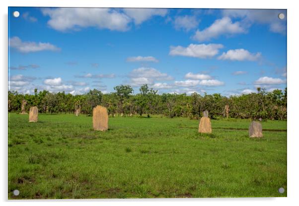 Litchfield Magnetic Termite Mounds Acrylic by Antonio Ribeiro
