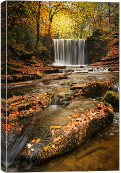 Autumnal water flows through Nant Mill Canvas Print by Liam Neon