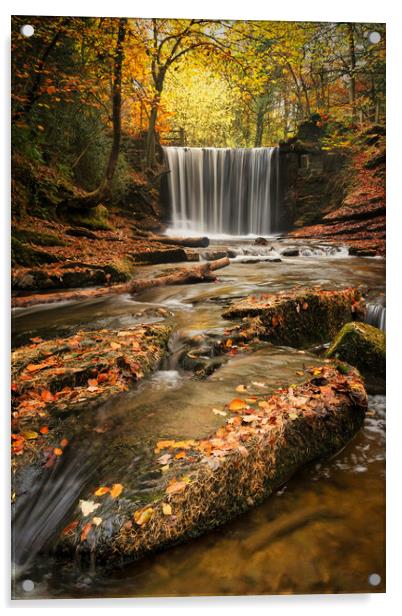 Autumnal water flows through Nant Mill Acrylic by Liam Neon