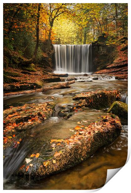 Autumnal water flows through Nant Mill Print by Liam Neon