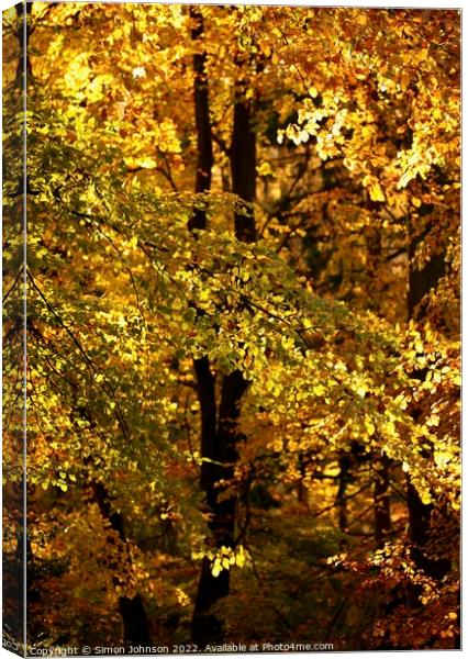 Autumn woodland  Canvas Print by Simon Johnson