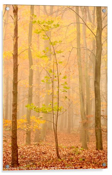 Tree in the mist Acrylic by Simon Johnson