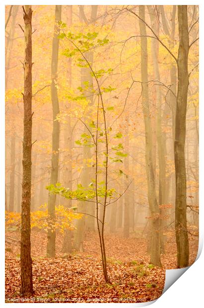 Tree in the mist Print by Simon Johnson
