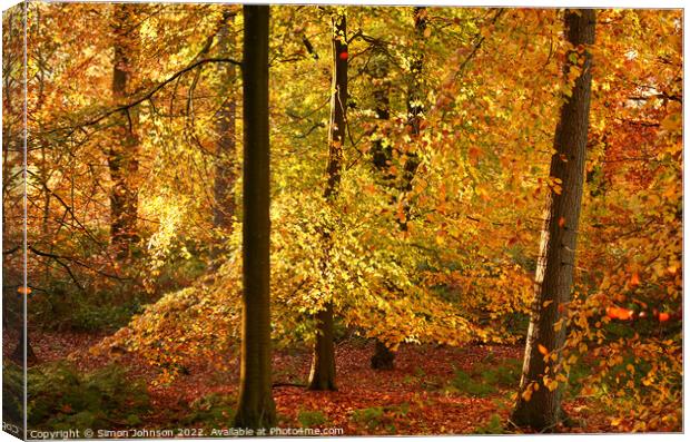 Autumn Gold Canvas Print by Simon Johnson