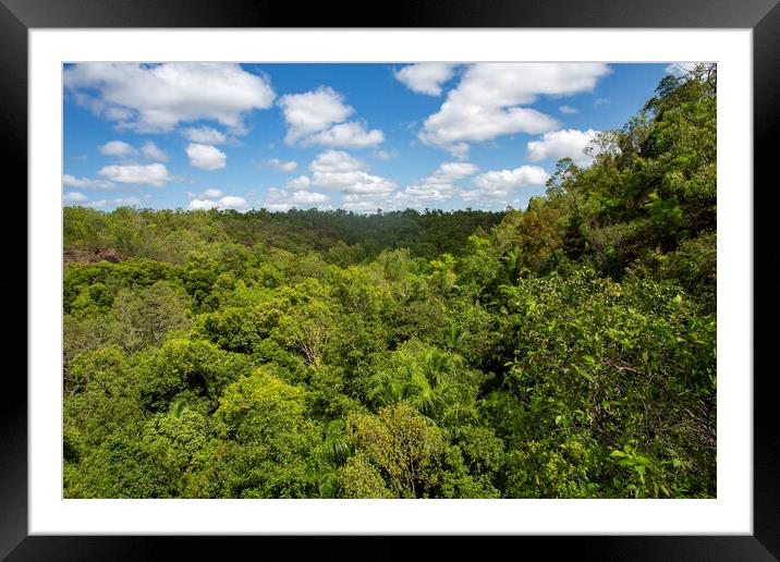 Litchfield NP Monsoon Forest Framed Mounted Print by Antonio Ribeiro