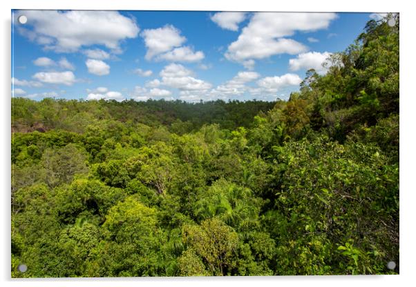 Litchfield NP Monsoon Forest Acrylic by Antonio Ribeiro