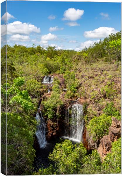 Litchfield NP Florence Falls Canvas Print by Antonio Ribeiro