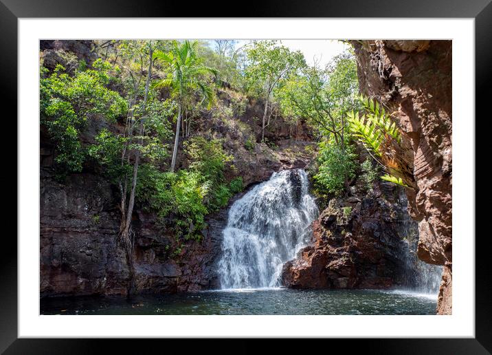 Litchfield NP Florence Falls Framed Mounted Print by Antonio Ribeiro