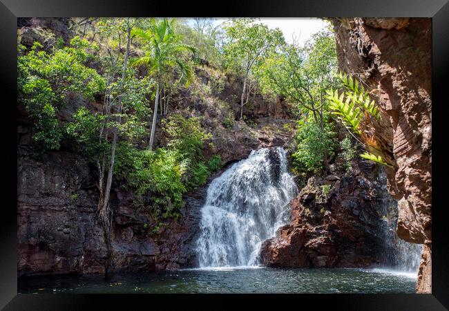 Litchfield NP Florence Falls Framed Print by Antonio Ribeiro