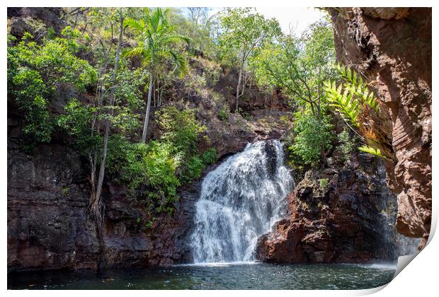 Litchfield NP Florence Falls Print by Antonio Ribeiro