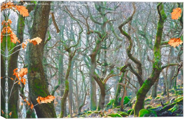 Misty Woodland At Padley Gorge Canvas Print by Alison Chambers