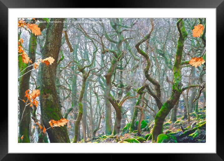 Misty Woodland At Padley Gorge Framed Mounted Print by Alison Chambers