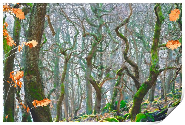 Misty Woodland At Padley Gorge Print by Alison Chambers