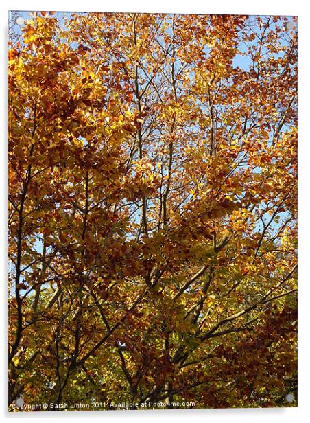 Autumn Leaves Acrylic by Sarah Osterman