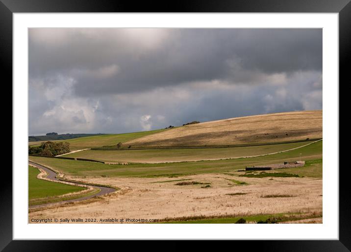 Sussex Downland walled fields Framed Mounted Print by Sally Wallis