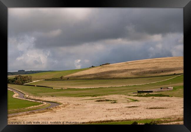 Sussex Downland walled fields Framed Print by Sally Wallis