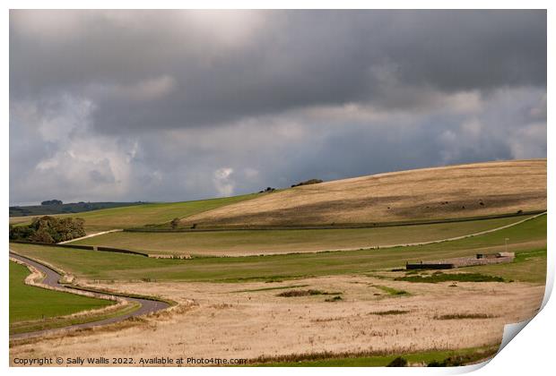Sussex Downland walled fields Print by Sally Wallis