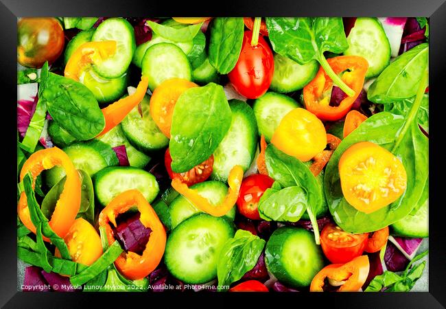 Natural vegetable salad, food background Framed Print by Mykola Lunov Mykola