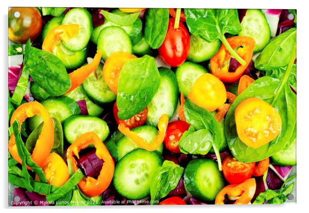 Natural vegetable salad, food background Acrylic by Mykola Lunov Mykola